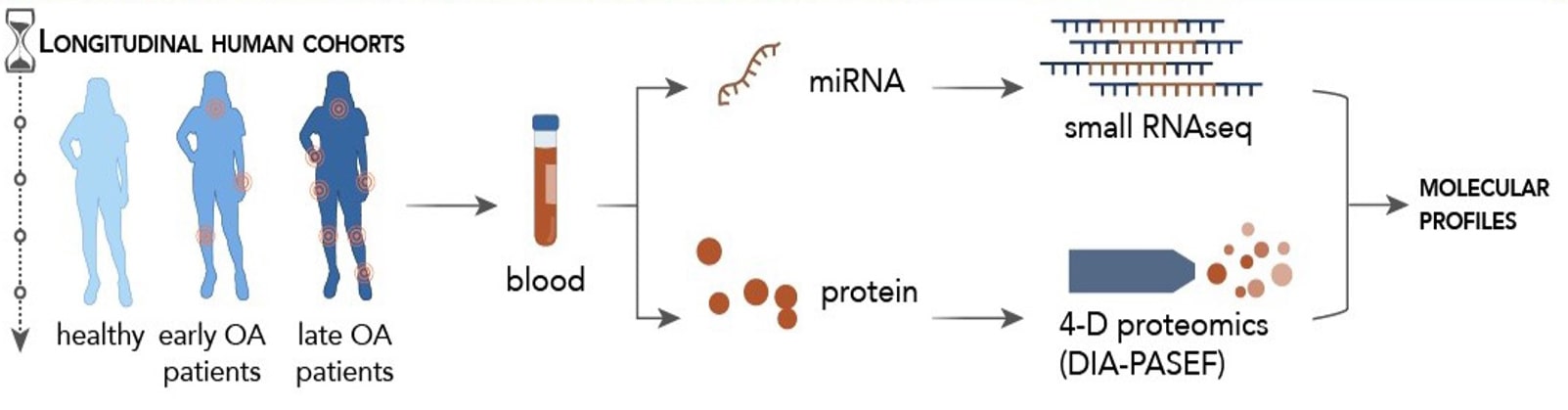 WP1: miRNA and protein profiling platform development