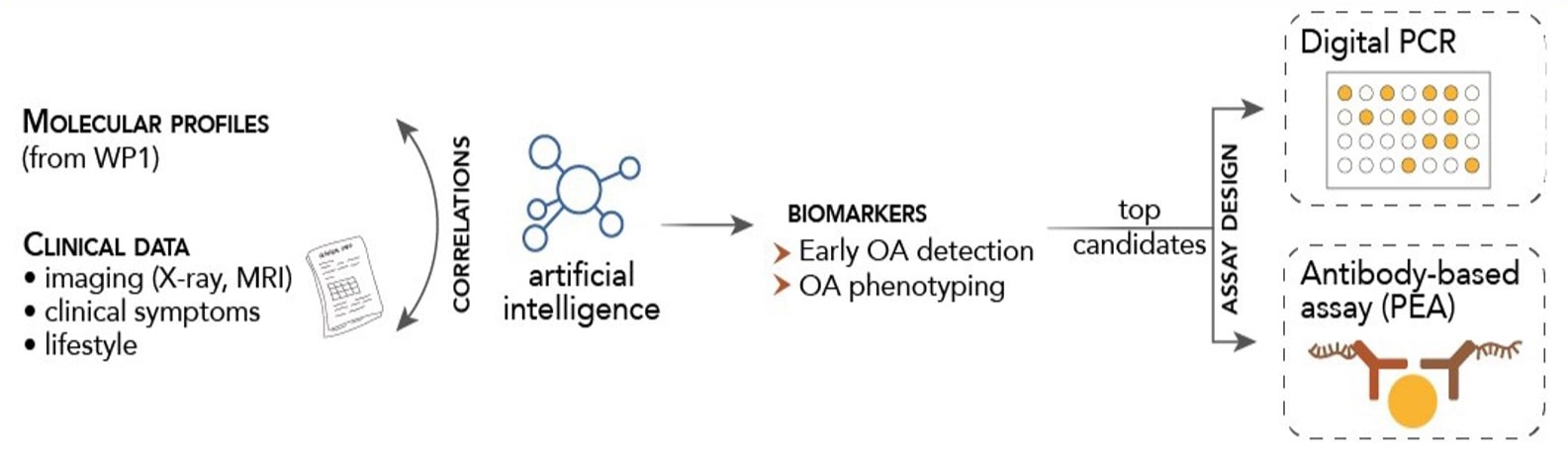 WP2: Multiomics data integration for biomarker selection and assay design for clinical use